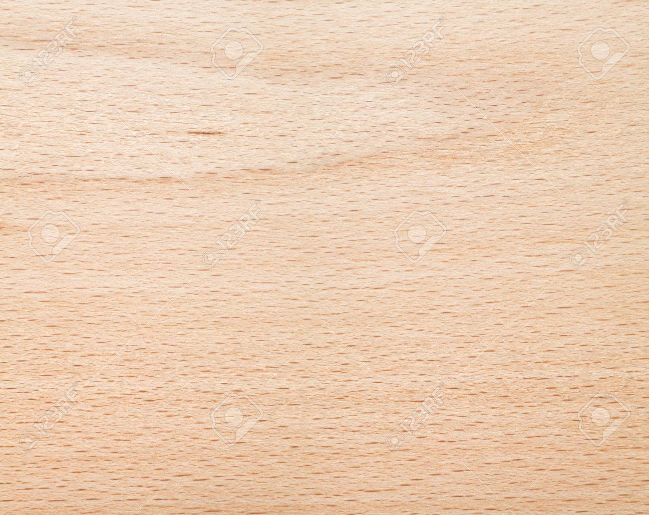 Beech wood texture background, Close-up.