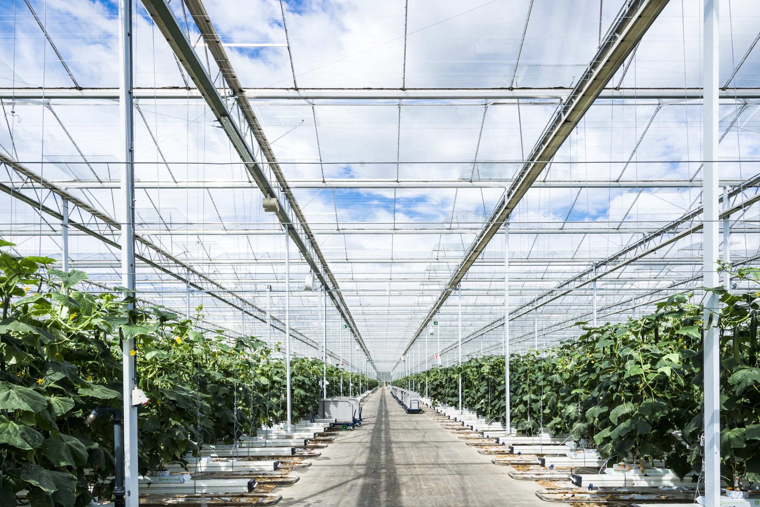 Werbefotografie von Tom Schweers